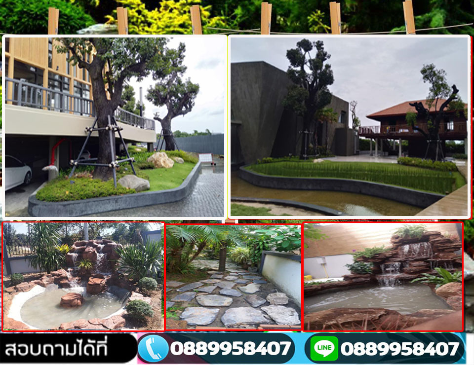 ผลงานจัดสวน เมืองหาดใหญ่