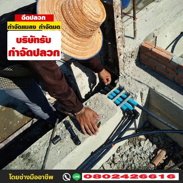 ทีมช่างบริการกำจัดปลวก
