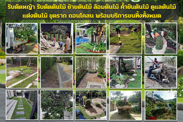 ขุดล้อมย้ายต้นไม้
